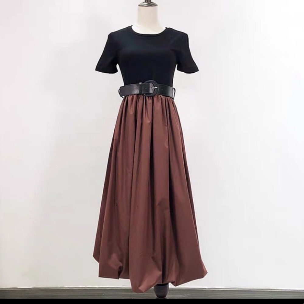 NWT Zara Dress